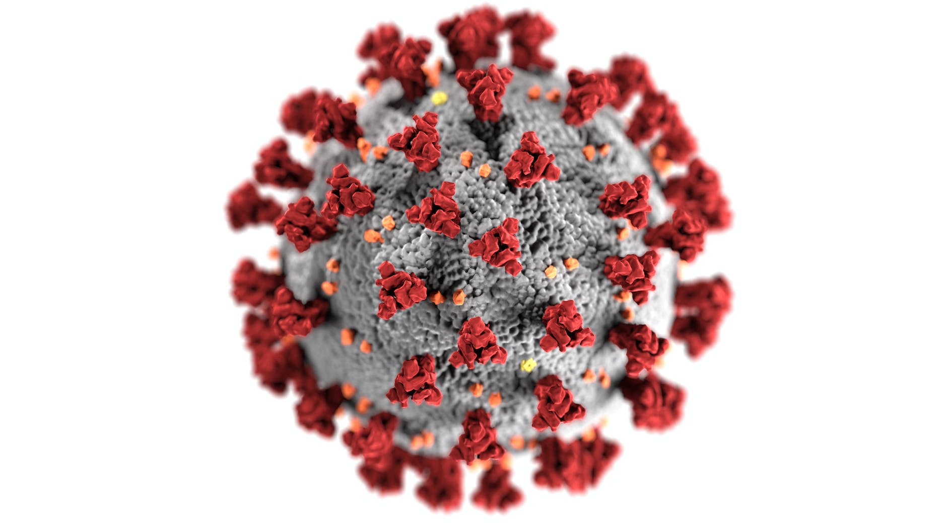 Filastrocca sul coronavirus di Roberto Piumini